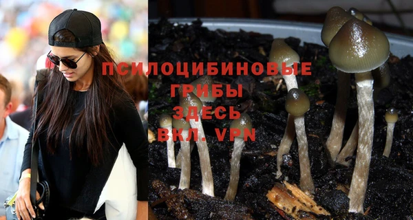 прущая мука Михайловск
