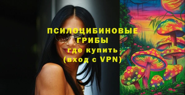 винт Надым