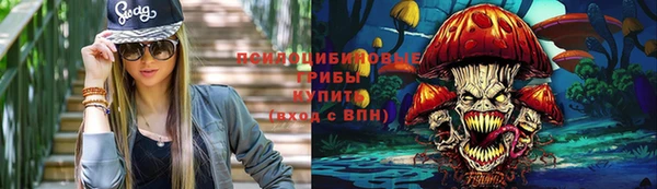 винт Надым
