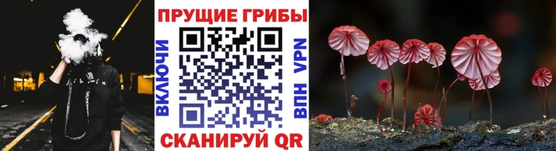 купить наркоту  Мостовской  Псилоцибиновые грибы Psilocybe 